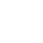 boldt
