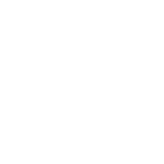 techint